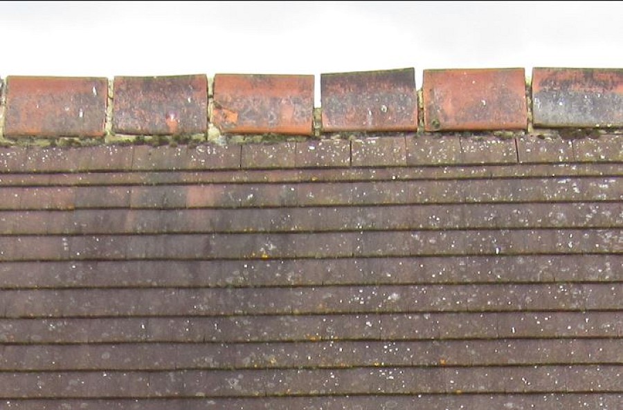 Ridge tile Feature Image